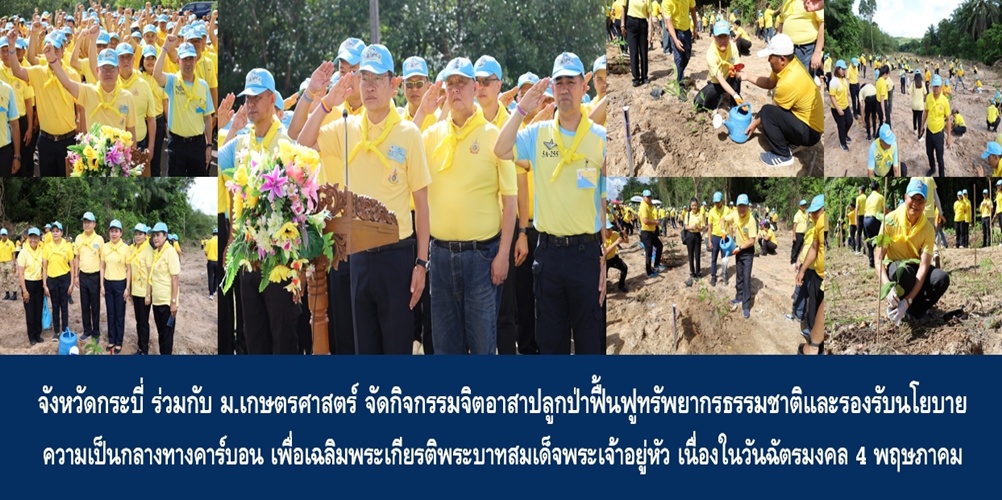 จังหวัดกระบี่ ร่วมกับ ม.เกษตรศาสตร์ จัดกิจกรรมจิตอาสาปลูกป่าฟื้นฟูท…